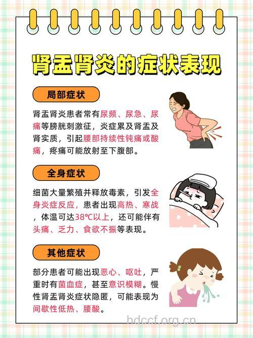 上班憋尿会导致慢性肾炎