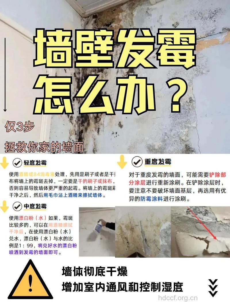 墙壁发霉怎么办