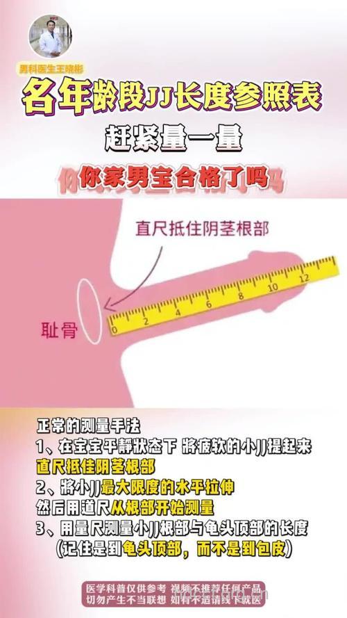 男人小弟弟的标准