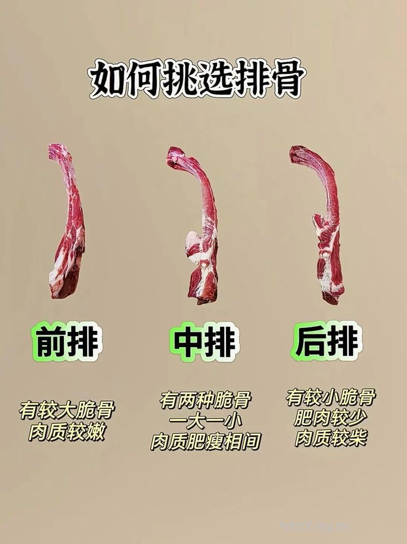 如何挑选新鲜的排骨