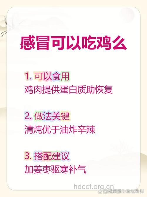 感冒可以吃鸡肉吗