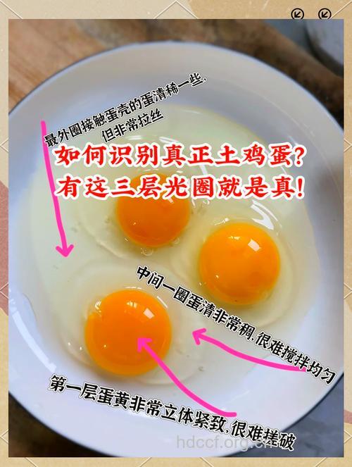 教你识别市场上的真假土鸡蛋