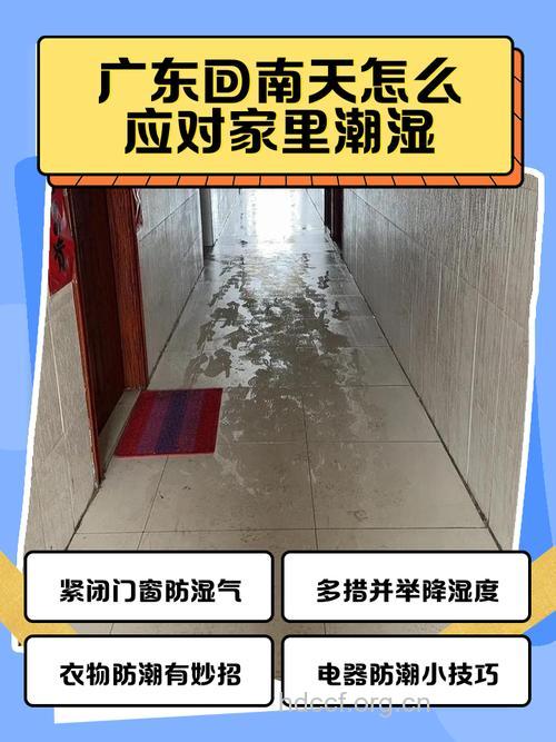 回南天地板湿怎么办 教你九方法