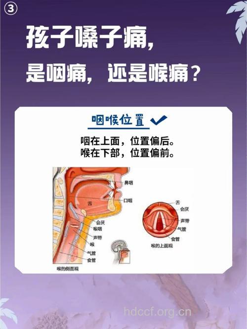 咽喉疼痛是怎么引起的