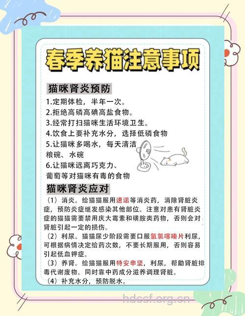 春季该如何预防肾炎