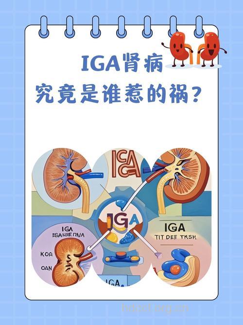 什么是IgA肾炎