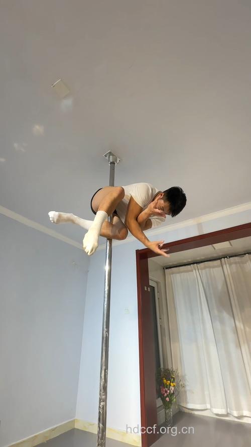 男人爱看钢管舞的原因(图)