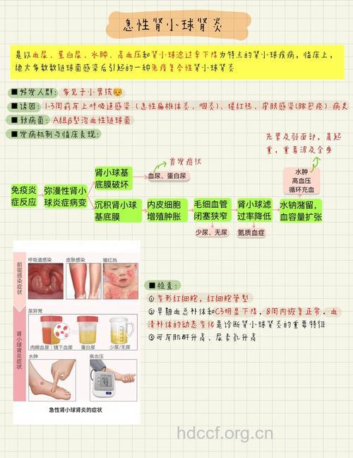 肾小球肾炎的治疗方法