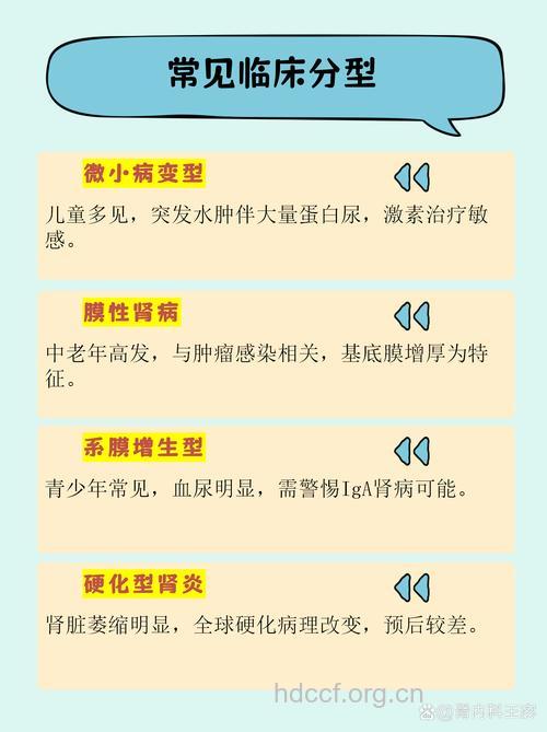 慢性肾炎有哪些分类
