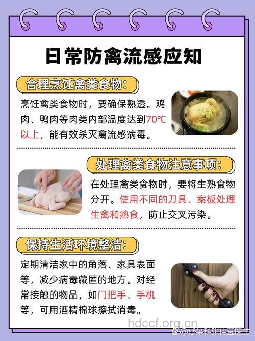 H7N9型禽流感该如何预防呢