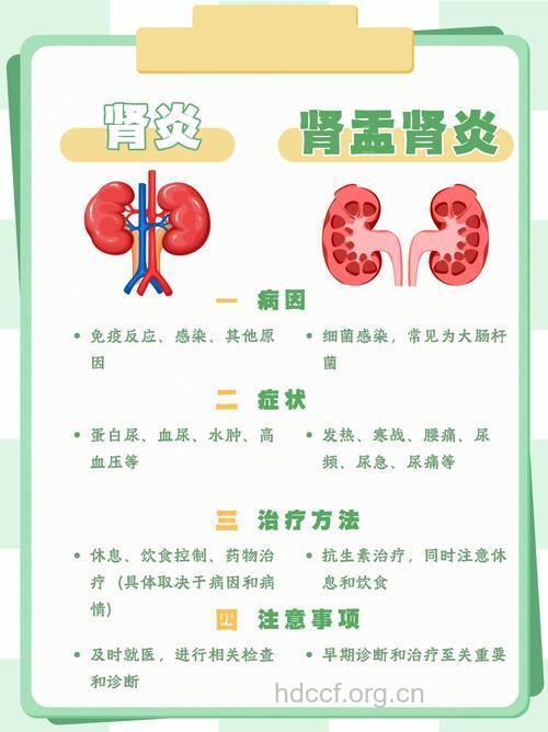 孕妇为何易得肾盂肾炎