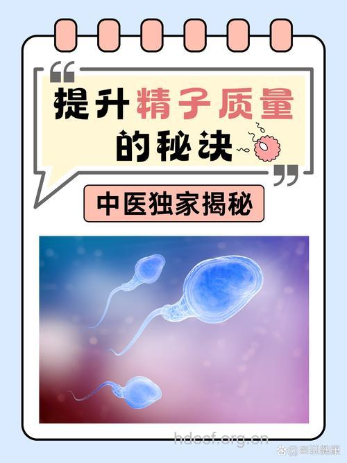 让男性精子数量质量大提升