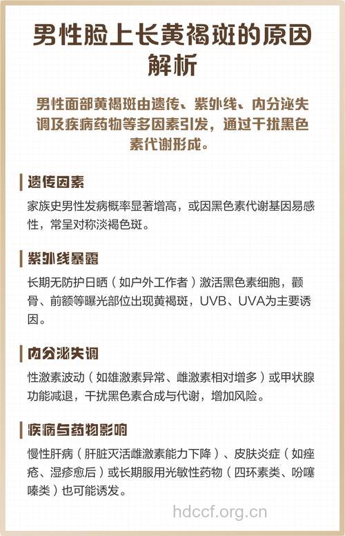 男人脸上长黄褐斑什么原因