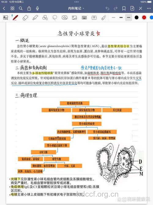 疾病百科 急进性肾小球肾炎的知识