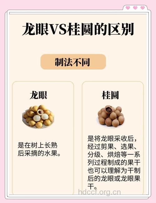 怎样鉴别好的龙眼