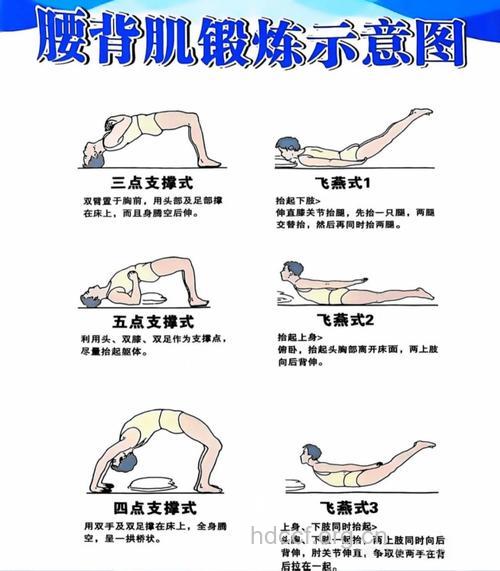 8个动作让男人挺直腰板