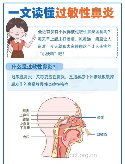 了解过敏性鼻炎的症状和危害