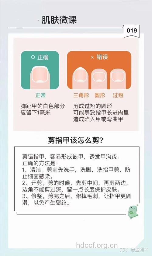 指甲剪多短合适