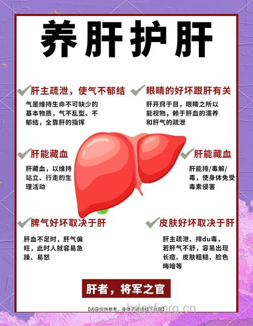 男人养肝保健小常识