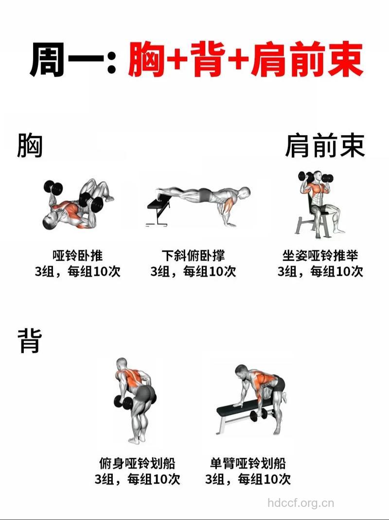 适合上班族的高效健身法