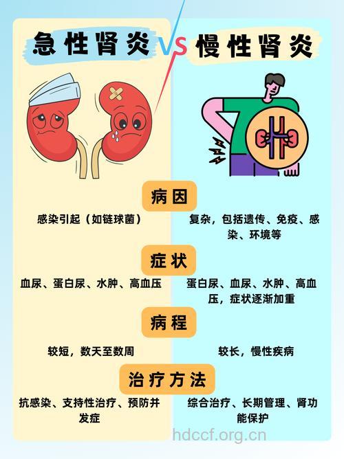 引起肾炎的主要感染因素