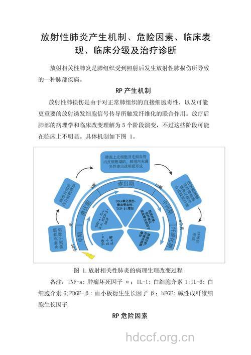 放射性肺炎的发病机理
