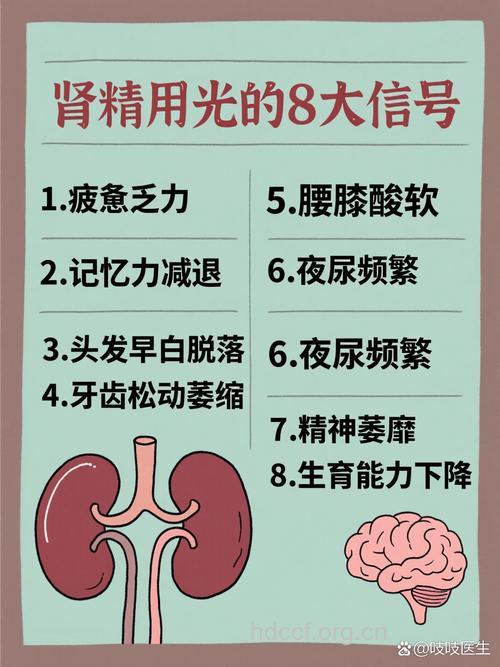 男人补肾需留心肾虚的信号