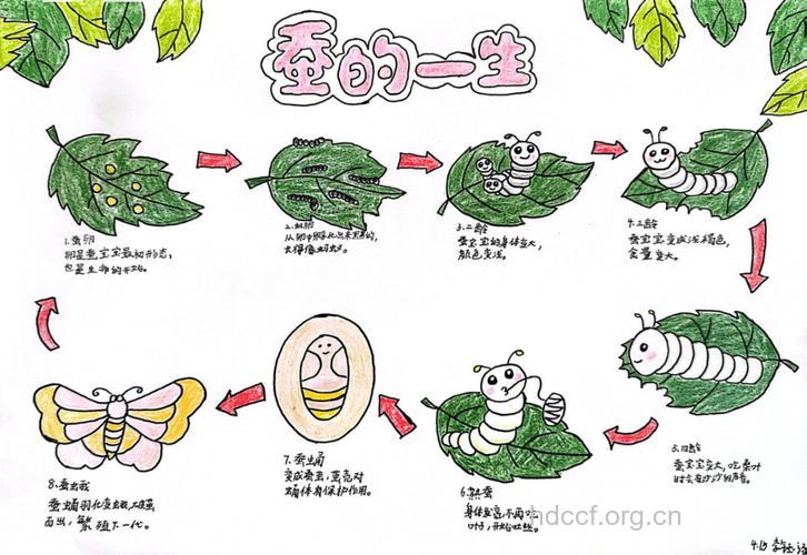 蚕食男人生命的生活方式
