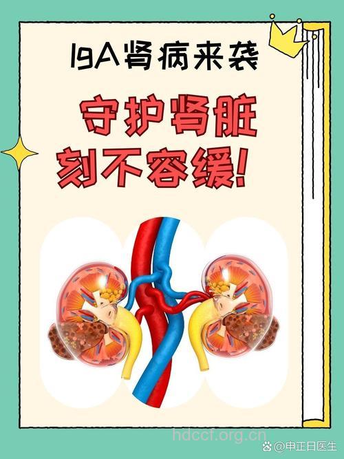 防止IgA肾病复发的措施有哪些
