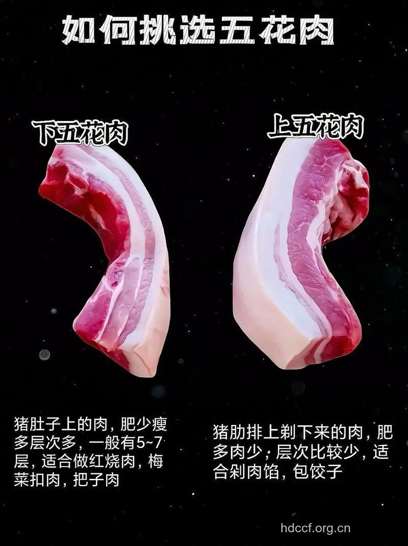 如何挑选五花肉