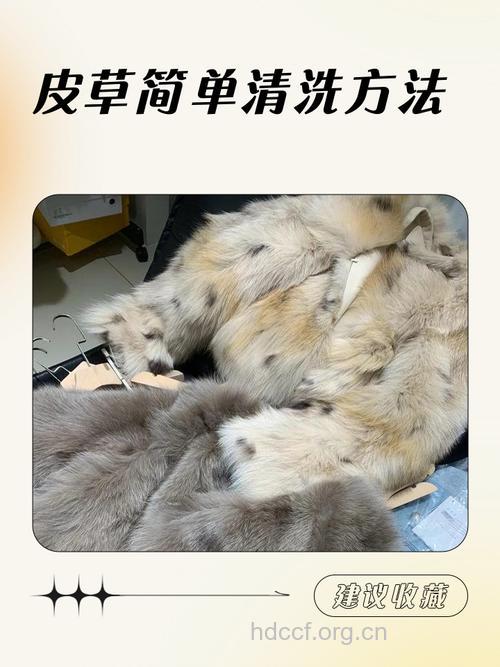 白色皮草脏了怎么办