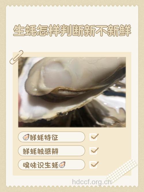 怎么看海蛎新不新鲜