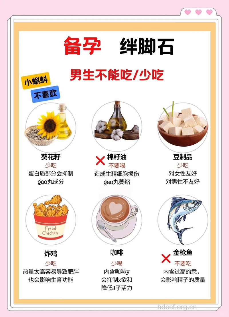 准爸爸孕前健康饮食指导