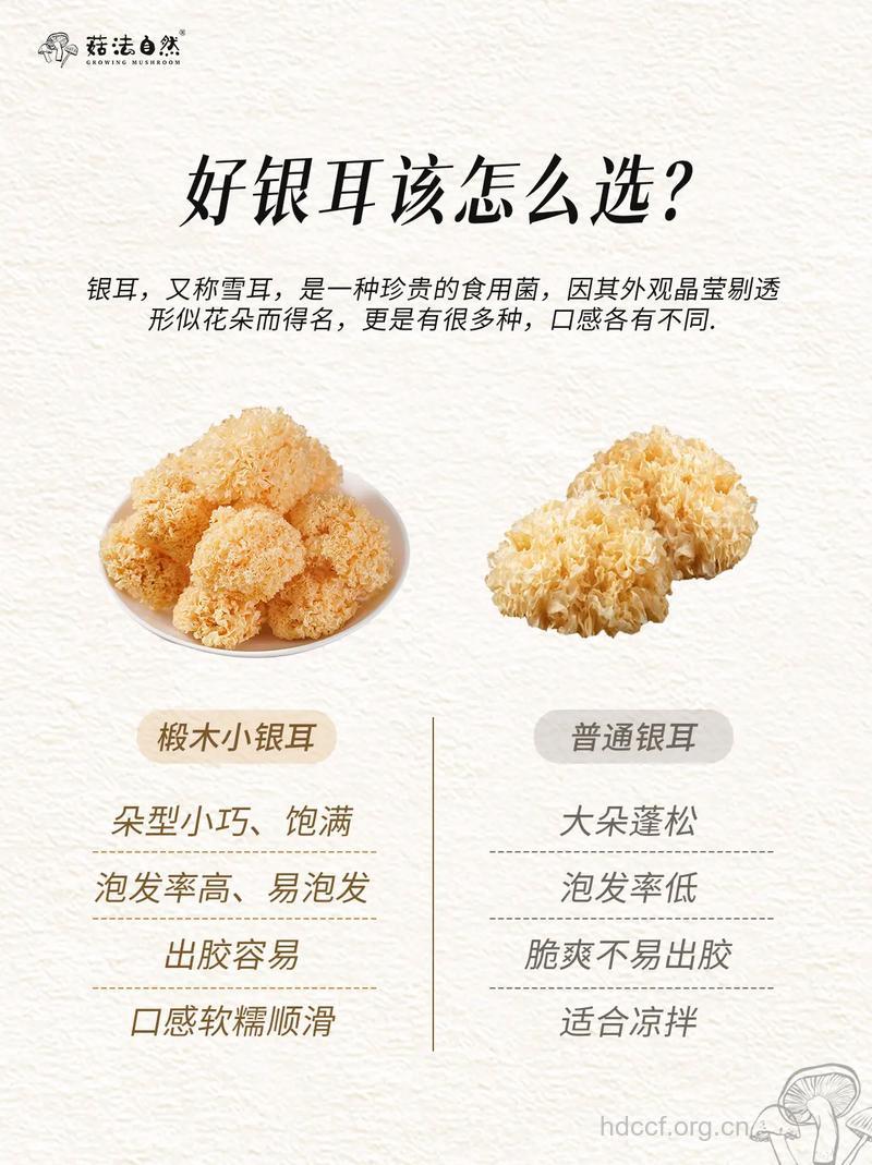 如何挑选好的银耳