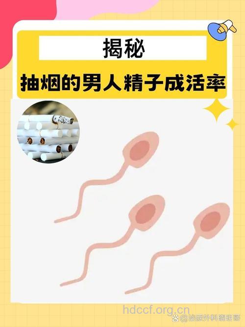 伤害男人精子的10大凶手