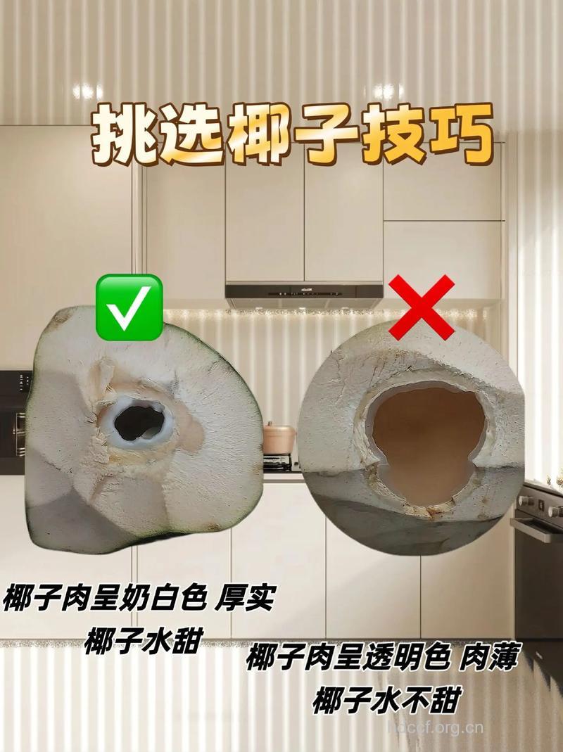 如何挑选椰子