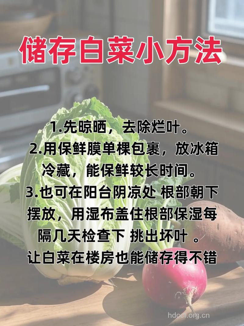冬季保存蔬菜的小窍门