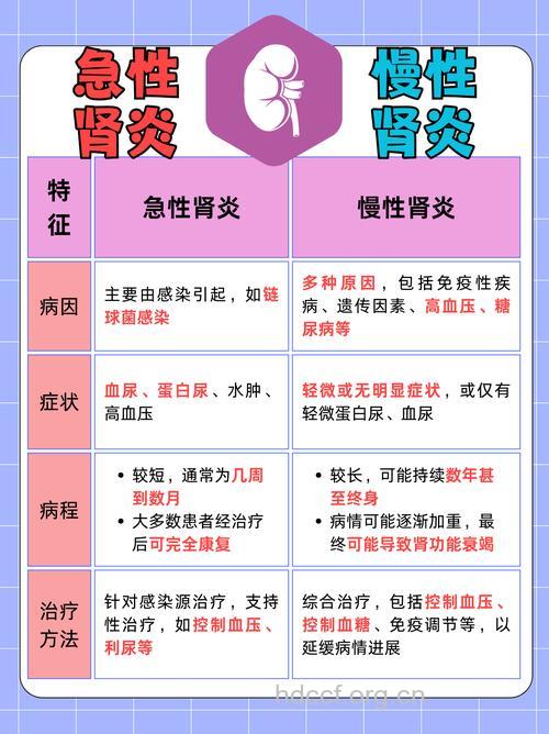 肾炎有什么常见类型呢