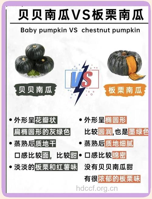 如何挑选到好南瓜