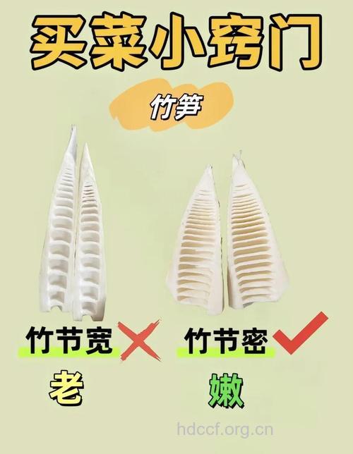 如何挑选冬笋