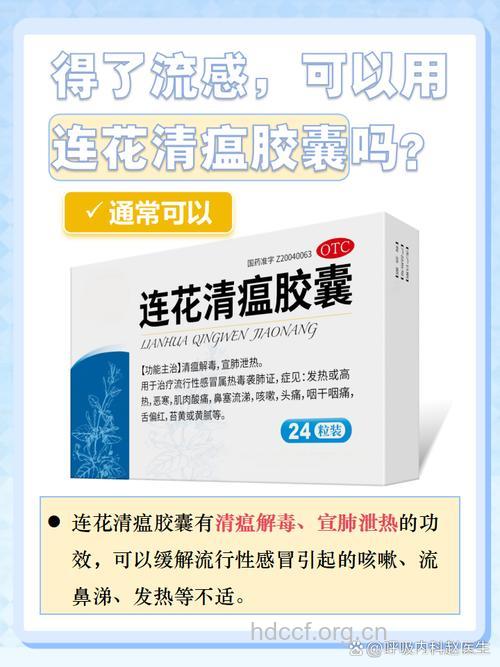 得了流行性感冒该吃什么呢