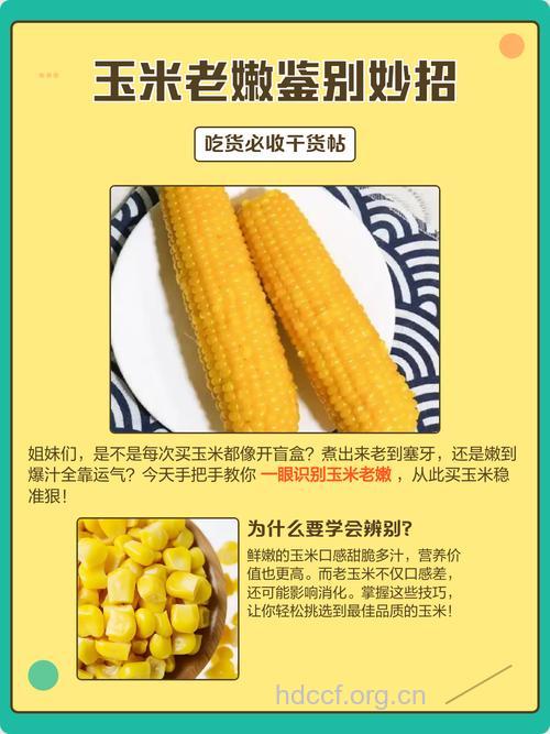 如何辨别老玉米及嫩玉米
