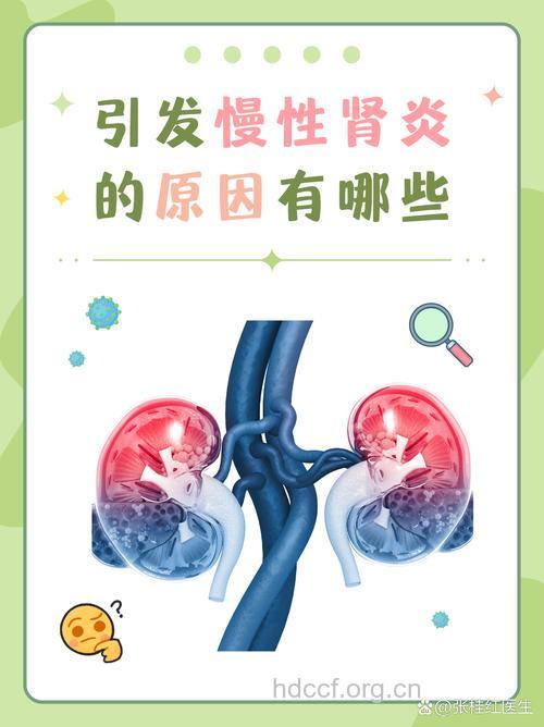 诱发肾炎的病因主要有哪些呢
