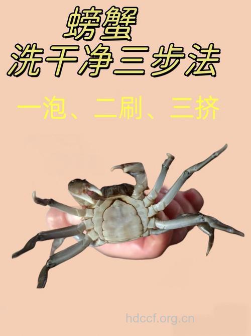 快速清洗螃蟹的三个技巧