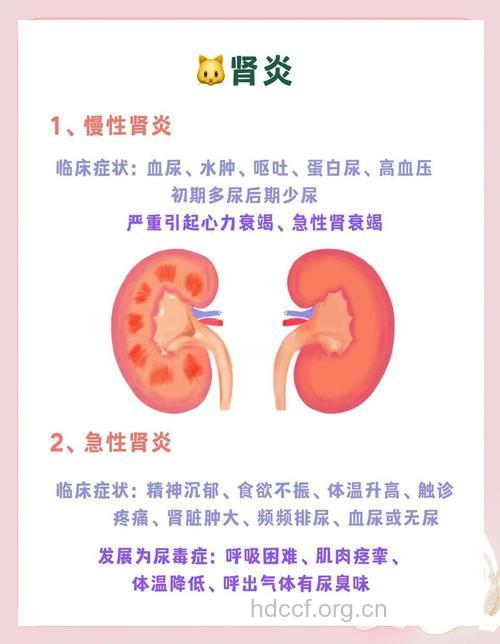 肾炎的病因有什么呢