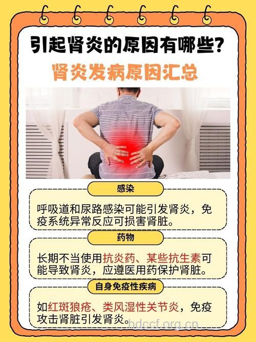 有哪些引发肾炎的原因呢