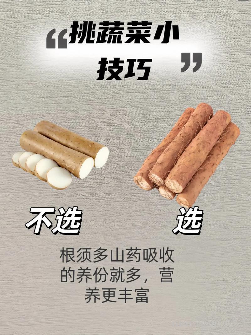 如何选购新鲜的山药