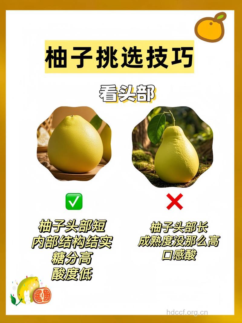 如何挑选皮薄香甜的柚子