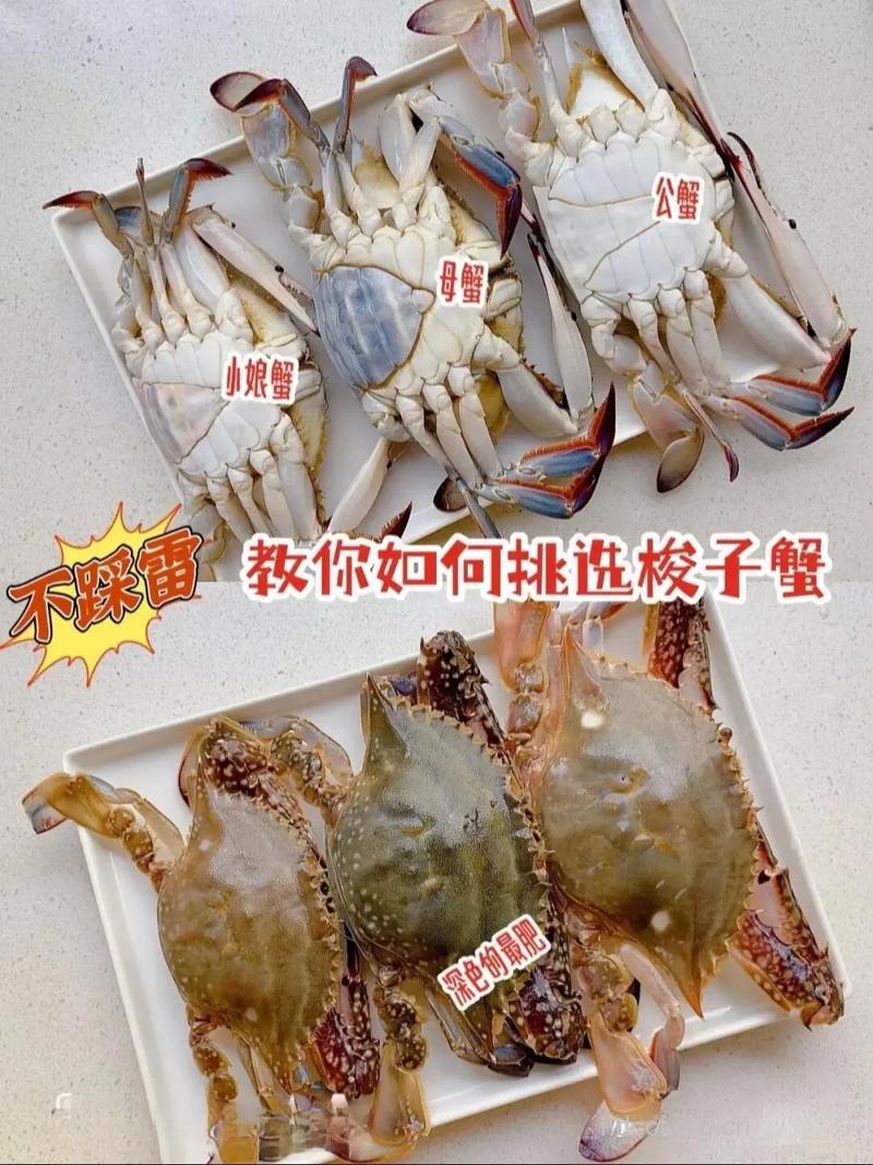 秋季如何挑选螃蟹
