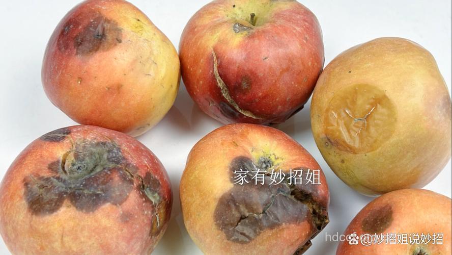 水果烂了还可以吃吗